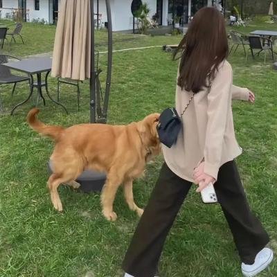激情犯罪